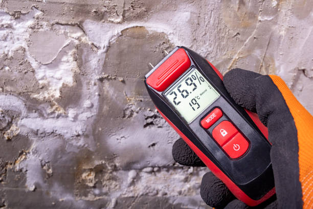 Best Mold Damage Repair  in Nassau Village Ratliff, FL
